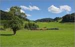 Vorbeifahrt der Eb 3/5 9 der Bodensee-Toggenburg-Bahn mit ihrem wunderbaren Personenzug an Hofschür.