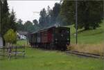 Fahrtag im Zürcher Oberland. 

Ed 3/3 401 der UeBB bei Neuthal. Juli 2023.
